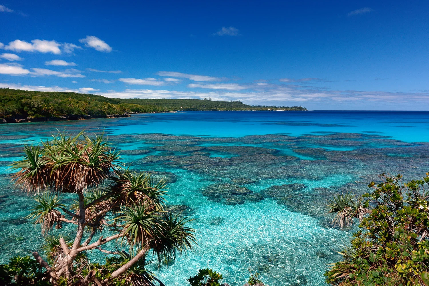 Loyalty Islands