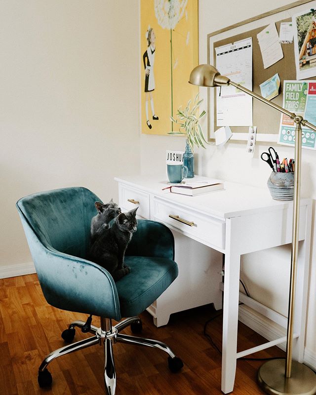 Hi 
Blog post with all the office space deets is up! 
Kittens not included .