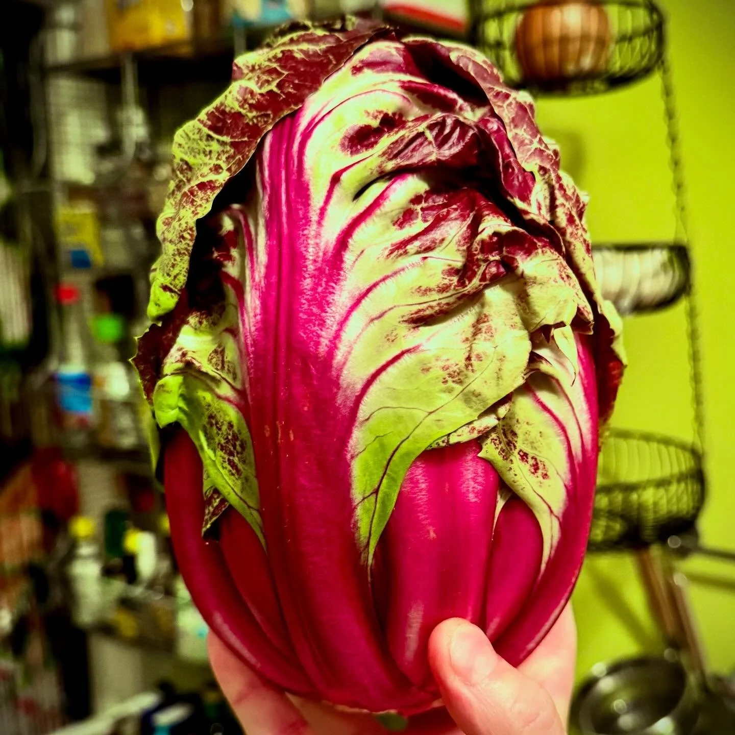 Possibly the most beautiful vegetable I&rsquo;ve ever seen. Luna Rossa chicory from @cookbookmarket Echo Park. This will be a salad to accompany shrimp n grits for a yummy #crimbo dinner.