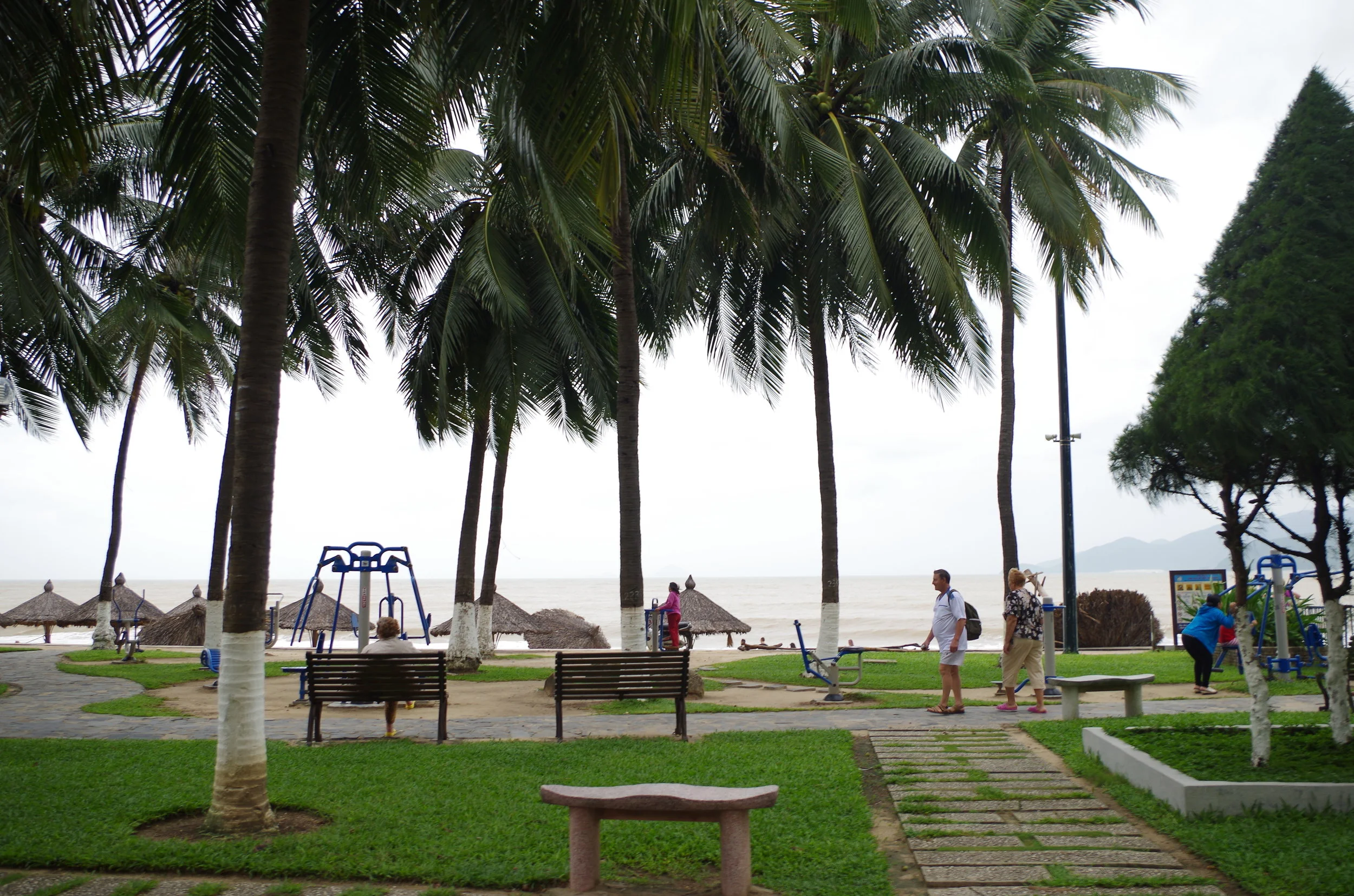 IMGP2724.JPG