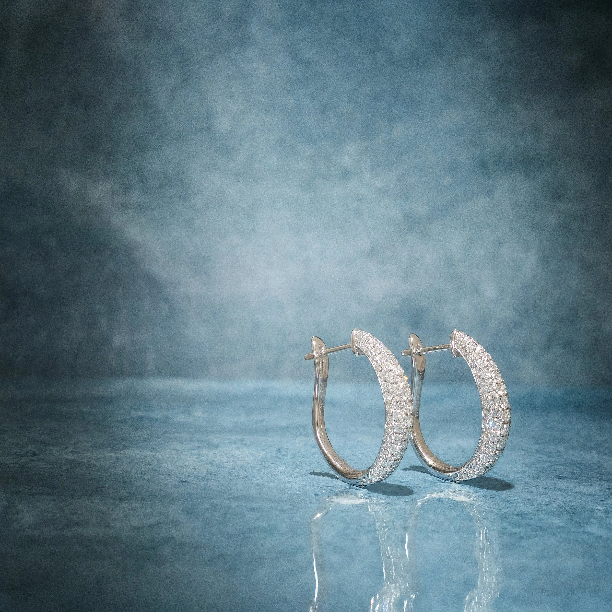 silver earrings.jpg