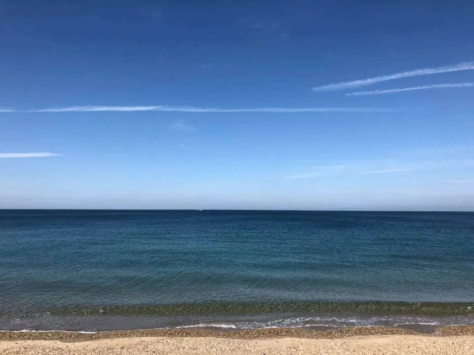 島のふく2.jpg
