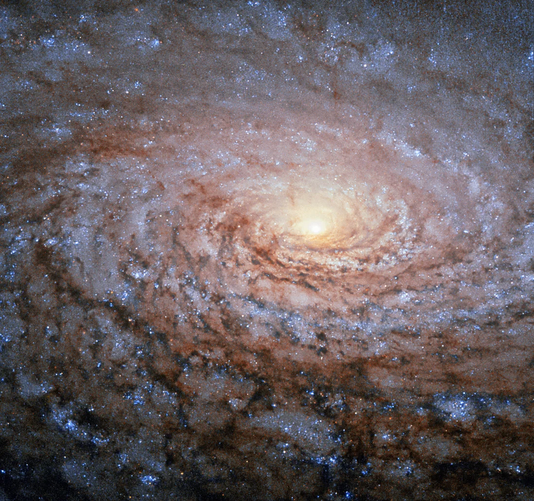m63.jpg