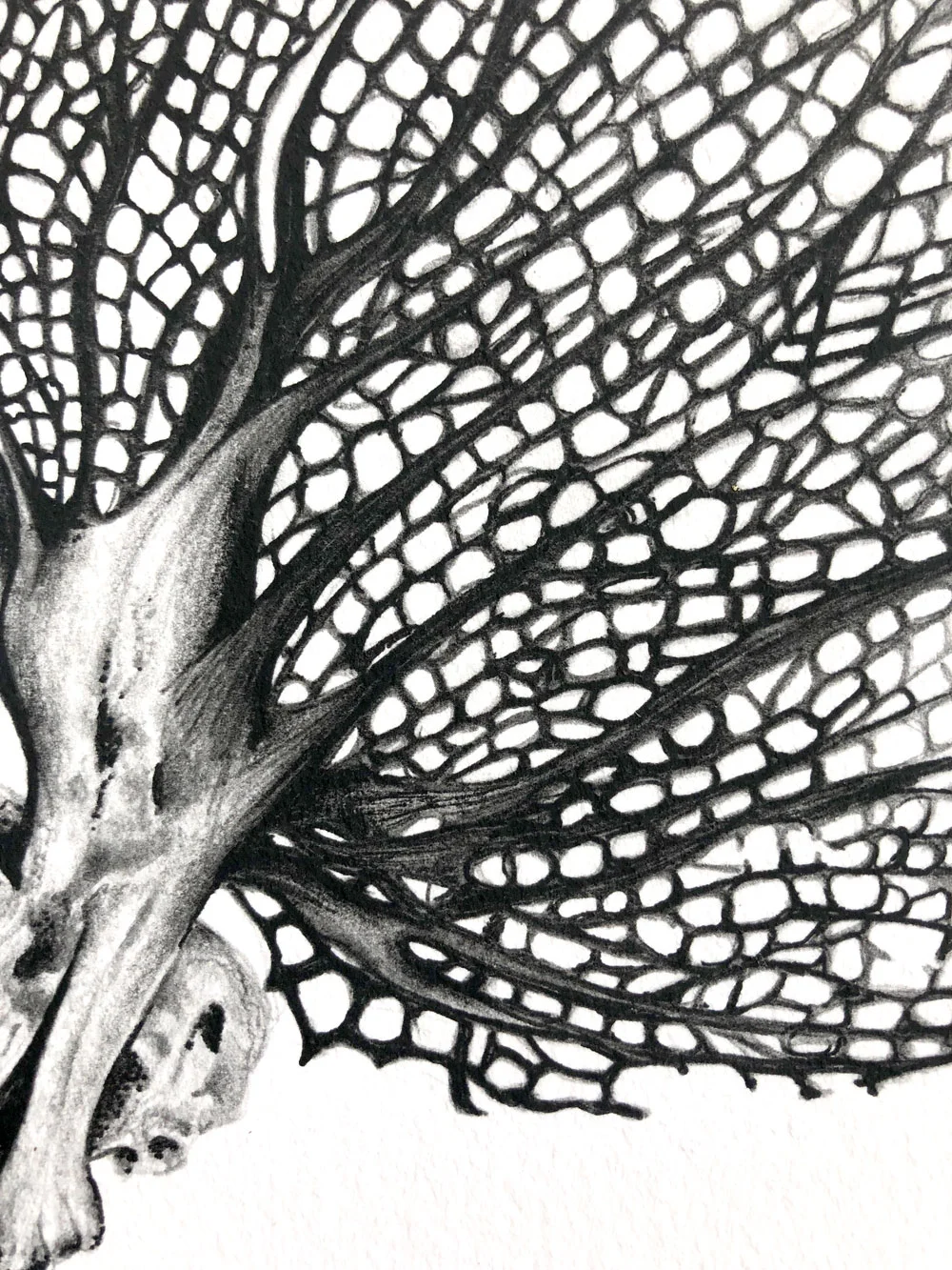 Interlace-Detail_web.jpg