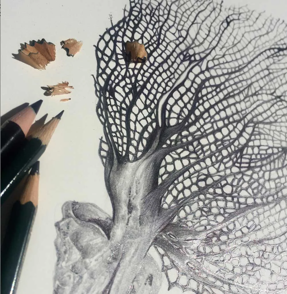 interlace_inspo.jpg