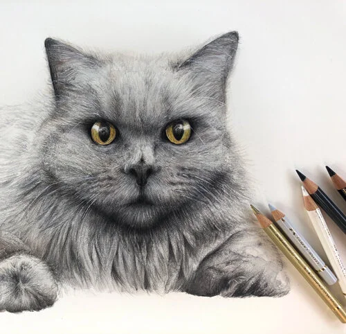 Audrey---final-with-pencils.jpg