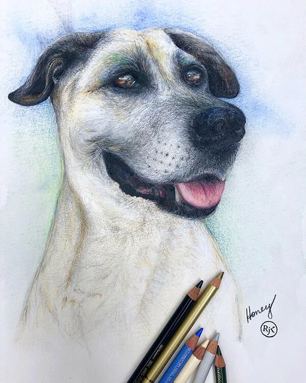 Honey-drawing-600px.jpg