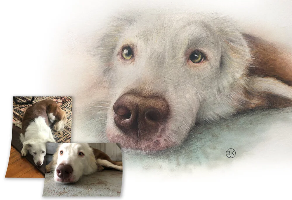 Obi-portrait-with-photos.jpg