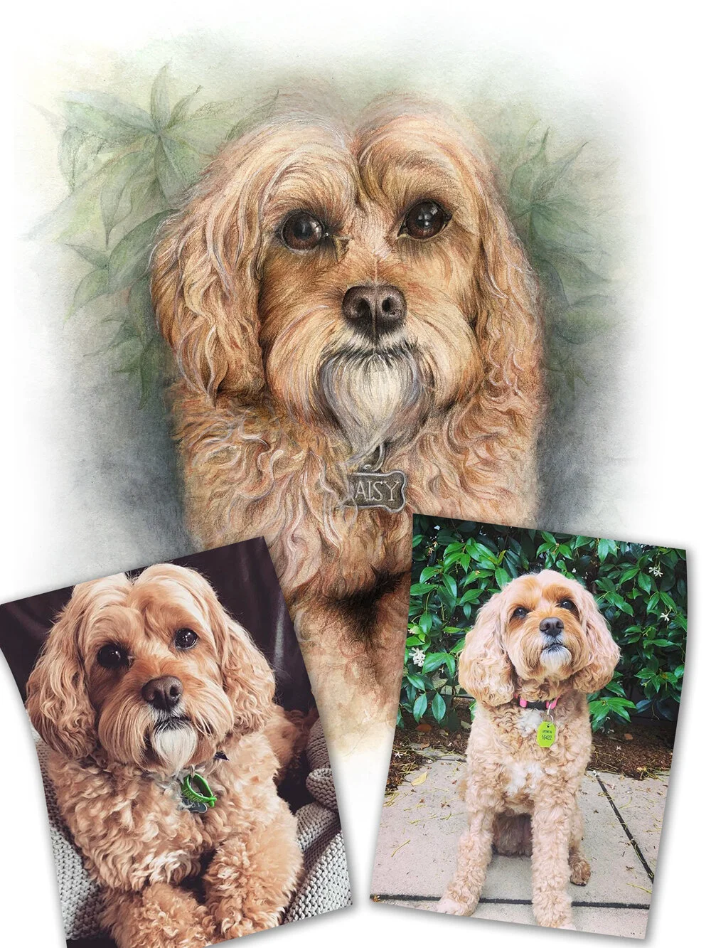 Daisy-portrait-with-photos.jpg