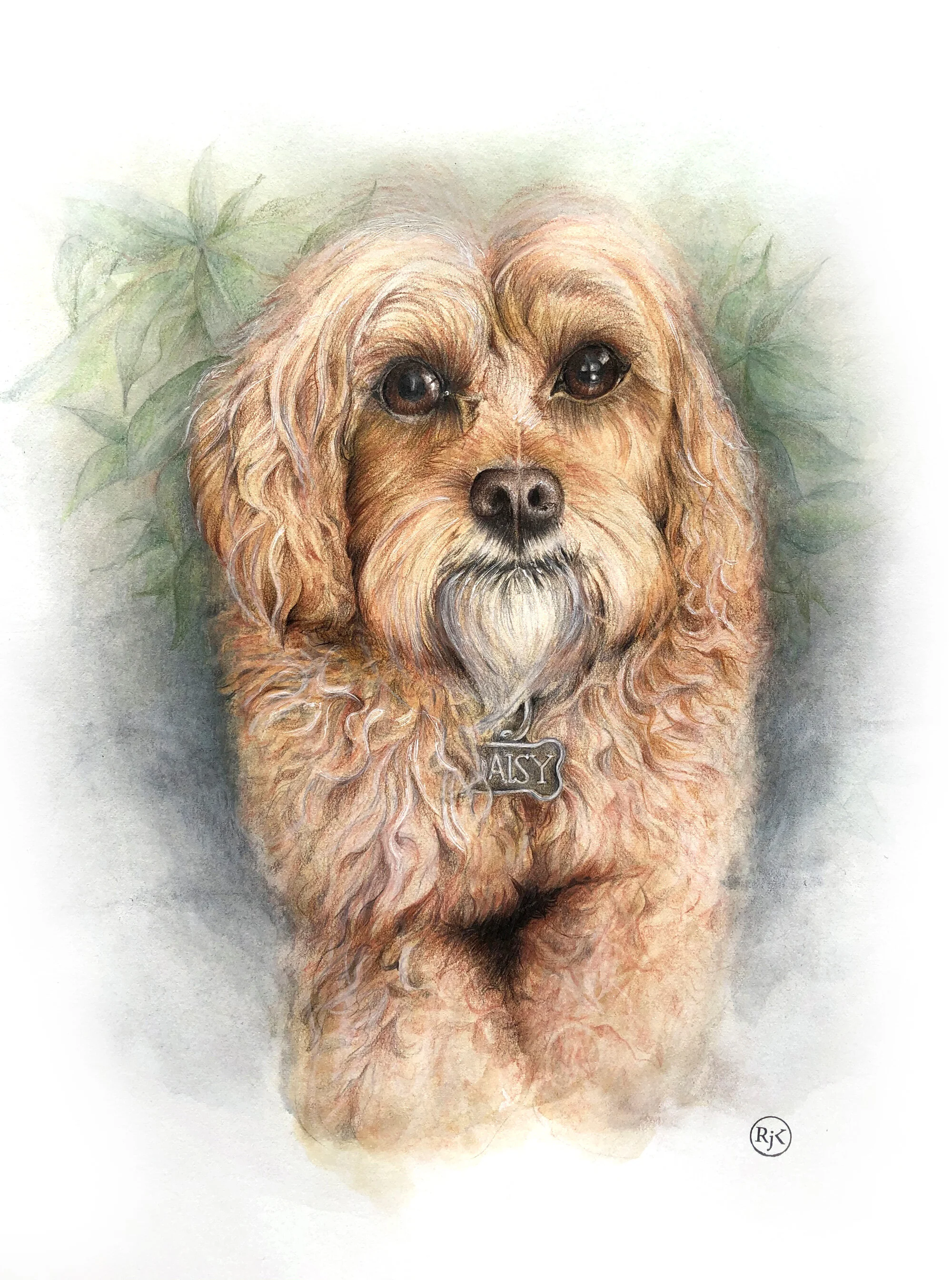 Daisy-portrait-for-website.jpg