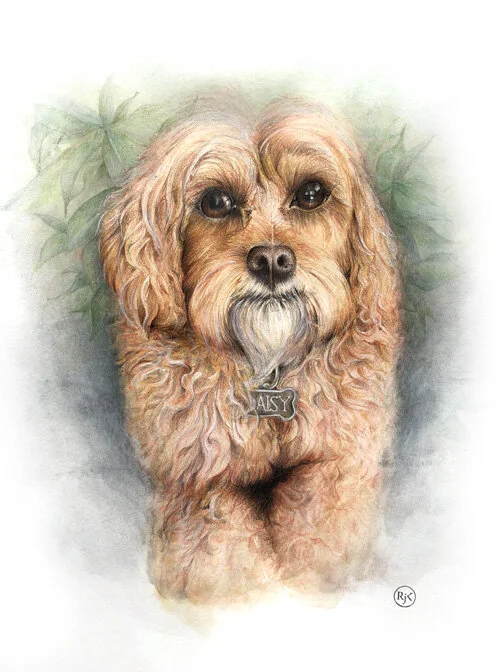 Daisy-portrait-thumbnail.jpg