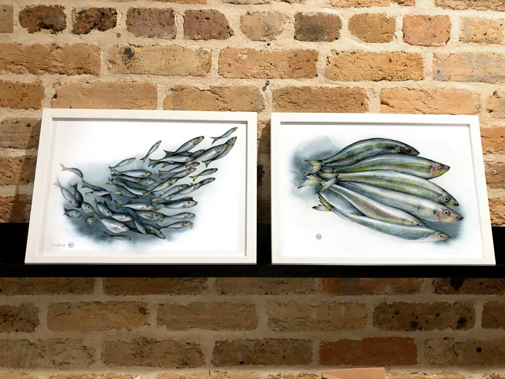 both-fish-from-kristy.jpg