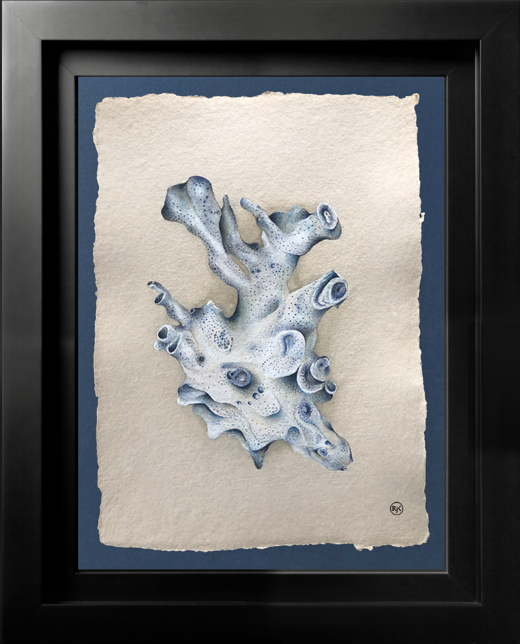 Coral - navy.png