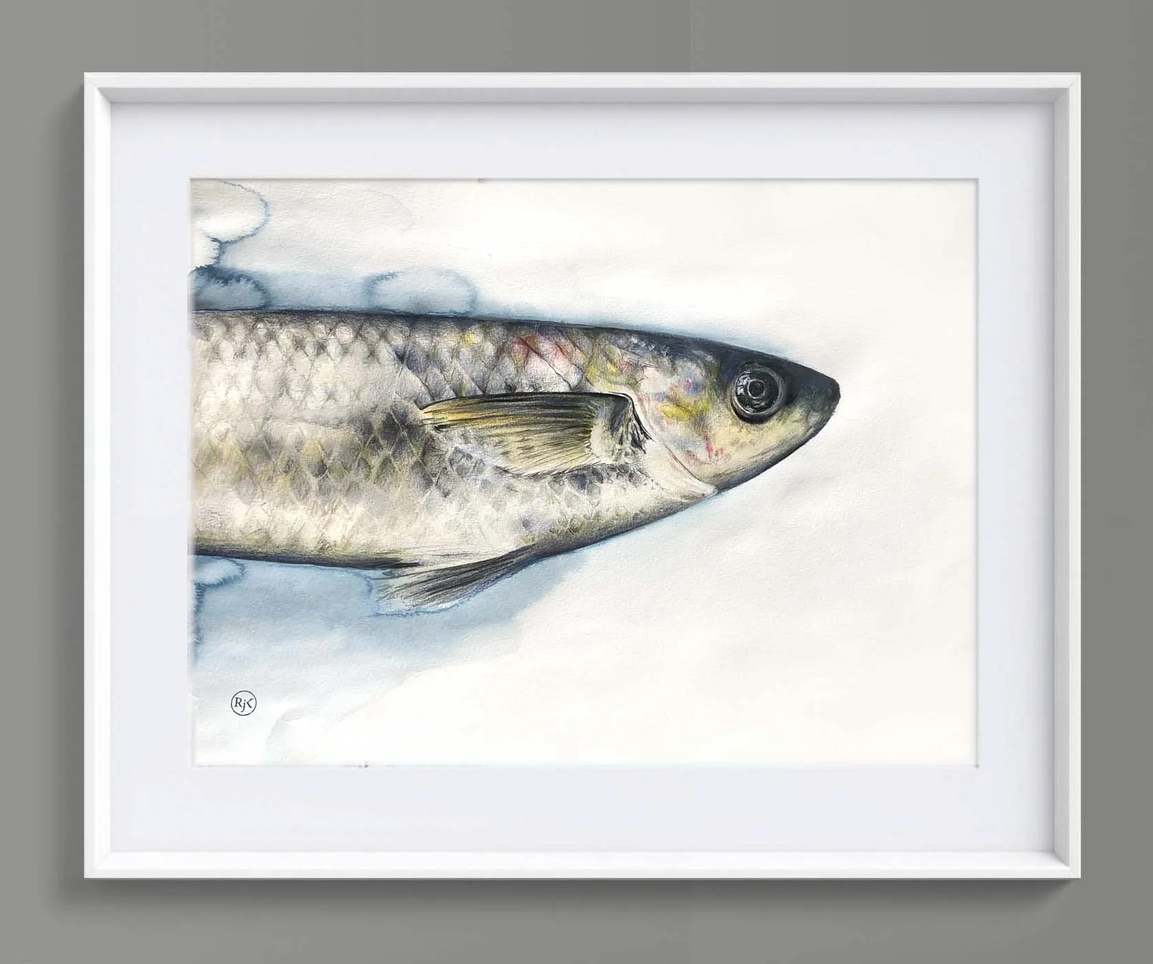 Fish framed copy.jpg