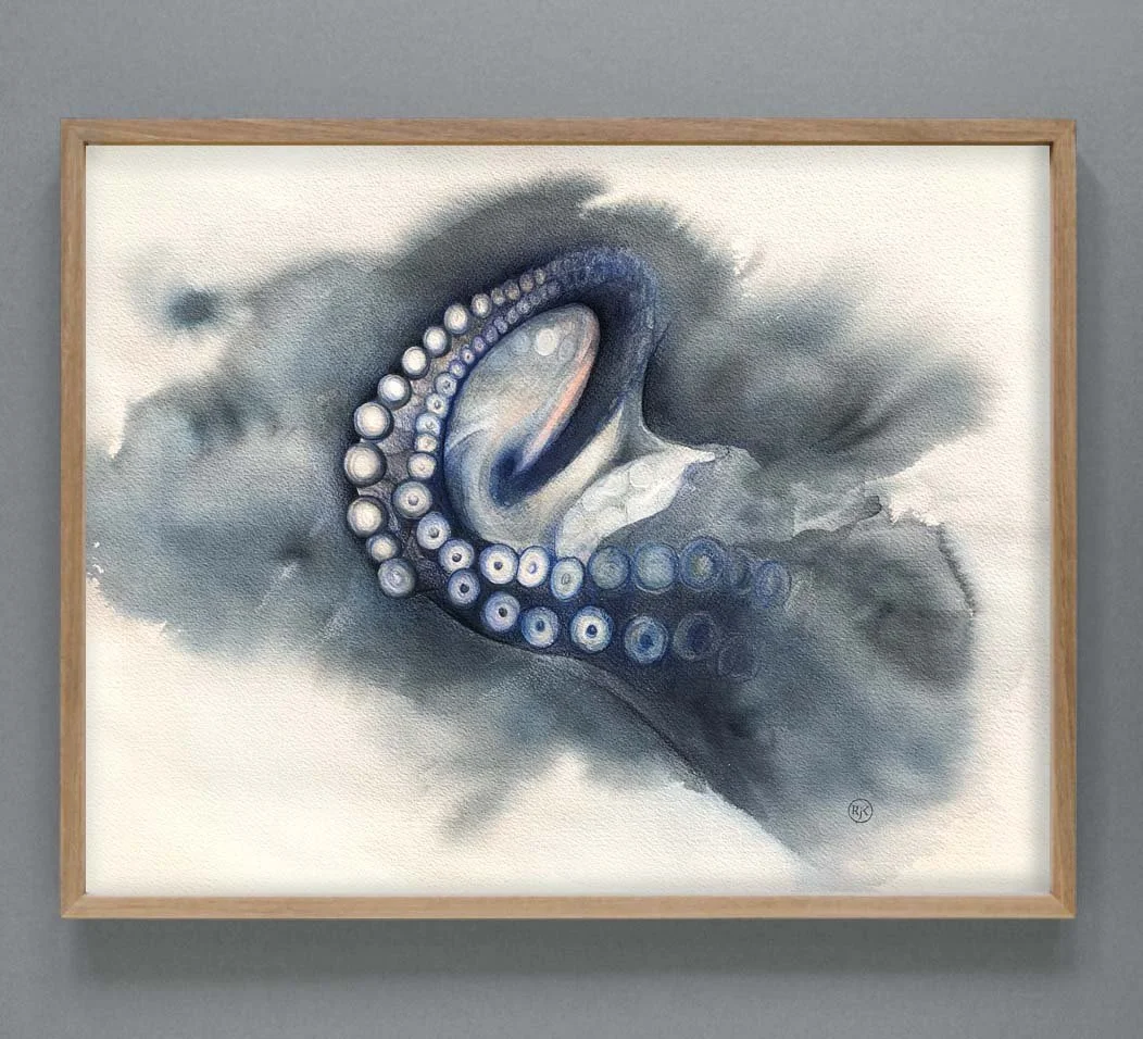 Octopus framed on blue wall.jpg