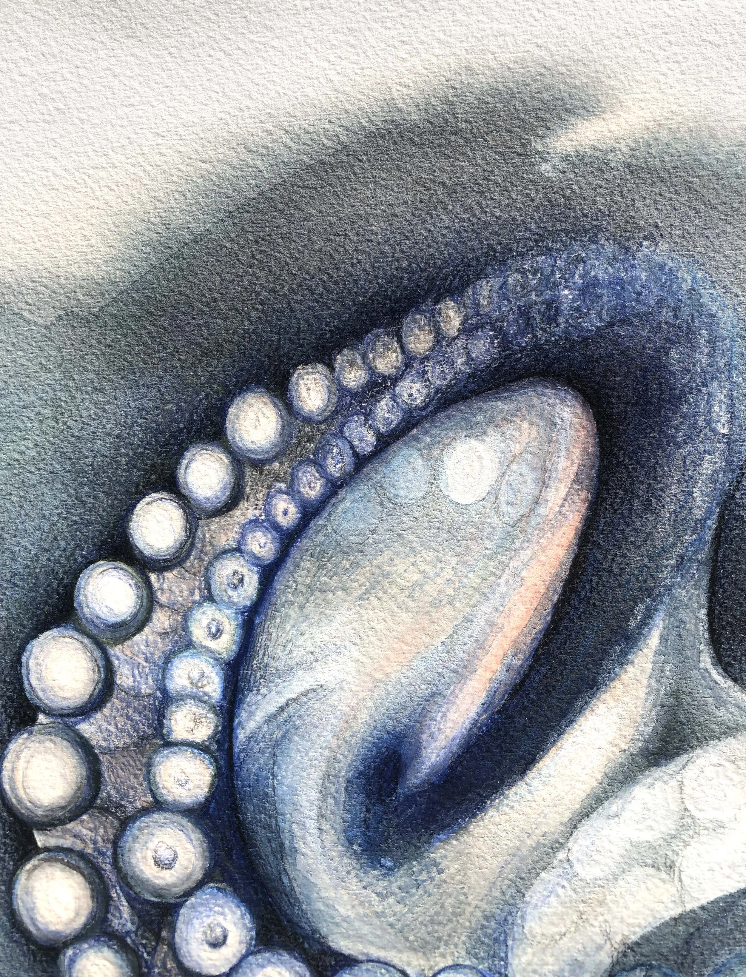 Octopus details 1.jpg
