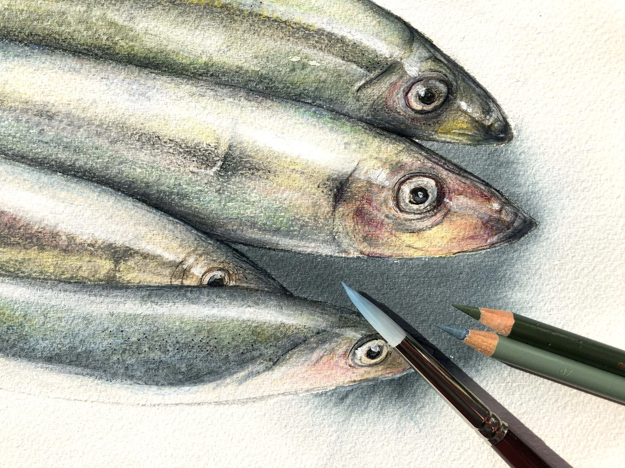 Herring orginal - detail 1.jpg