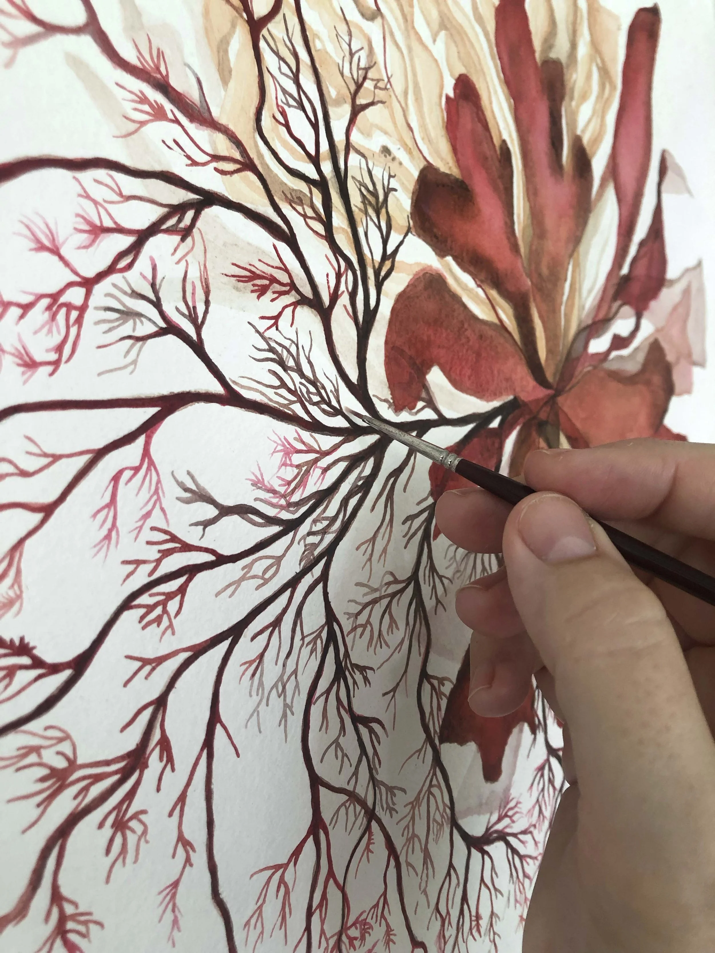 Red seaweed detail 2 with brush.jpg