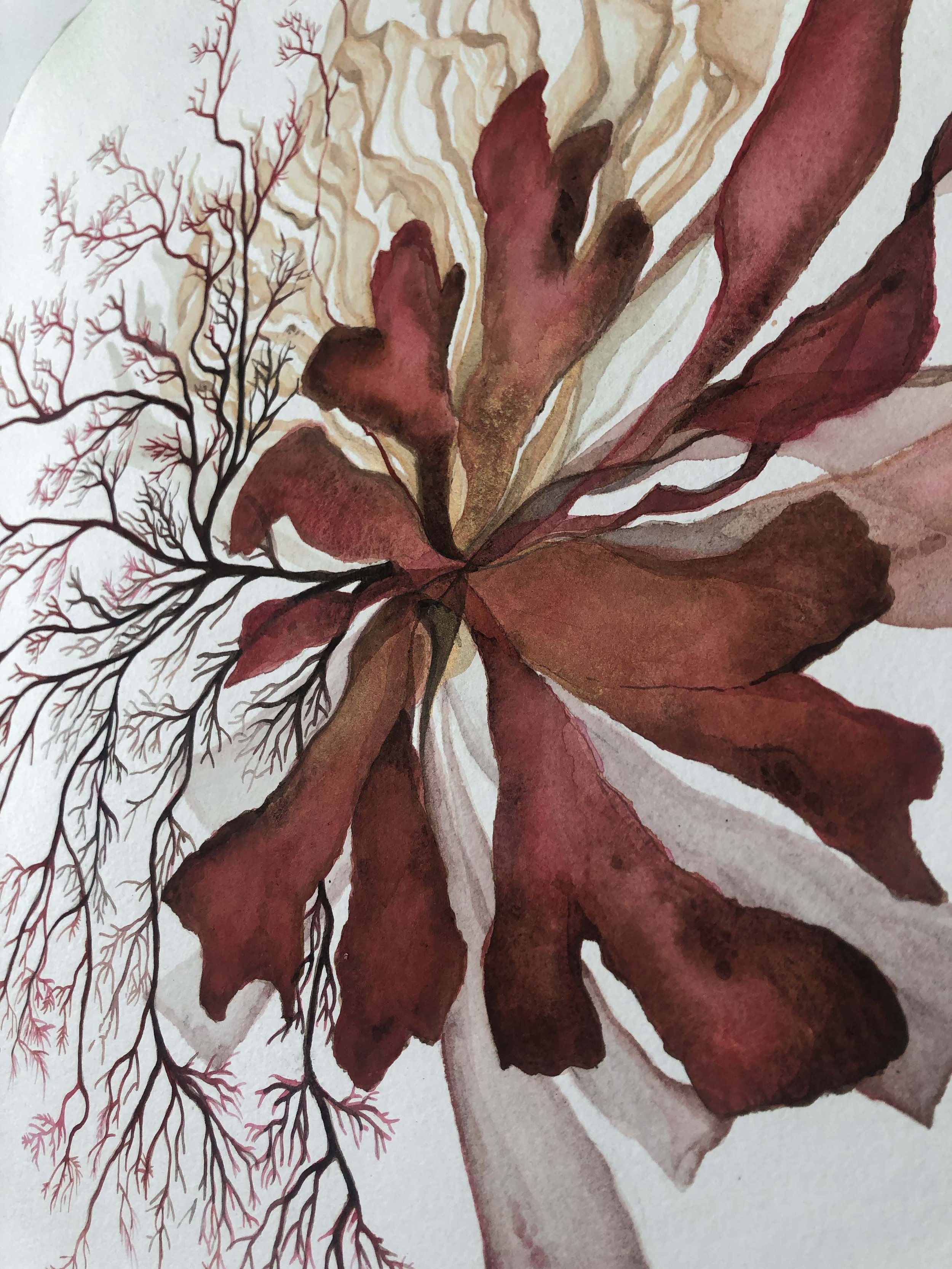 red seaweed detail 1.jpg