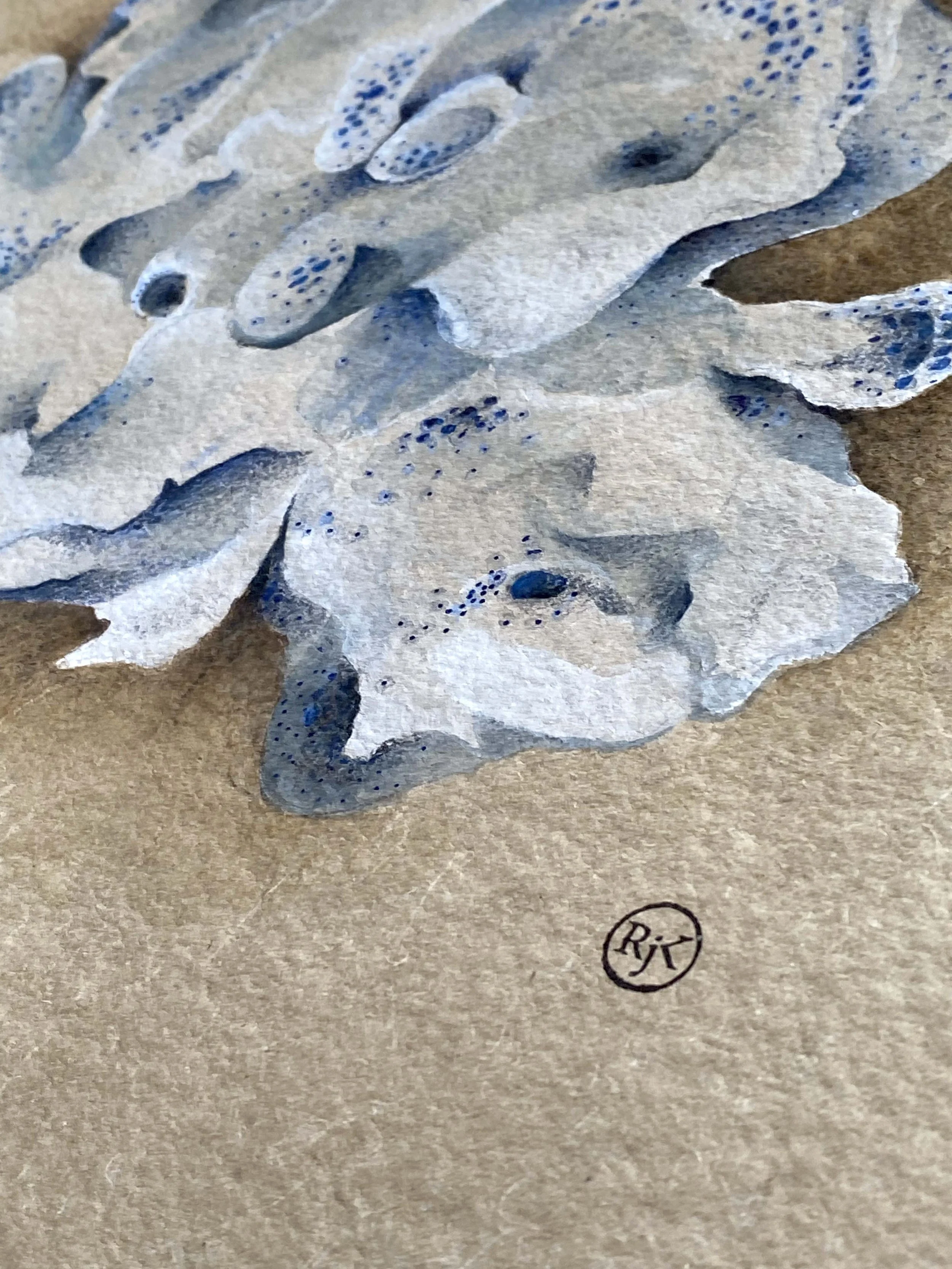 Blue coral 2 - details.jpg
