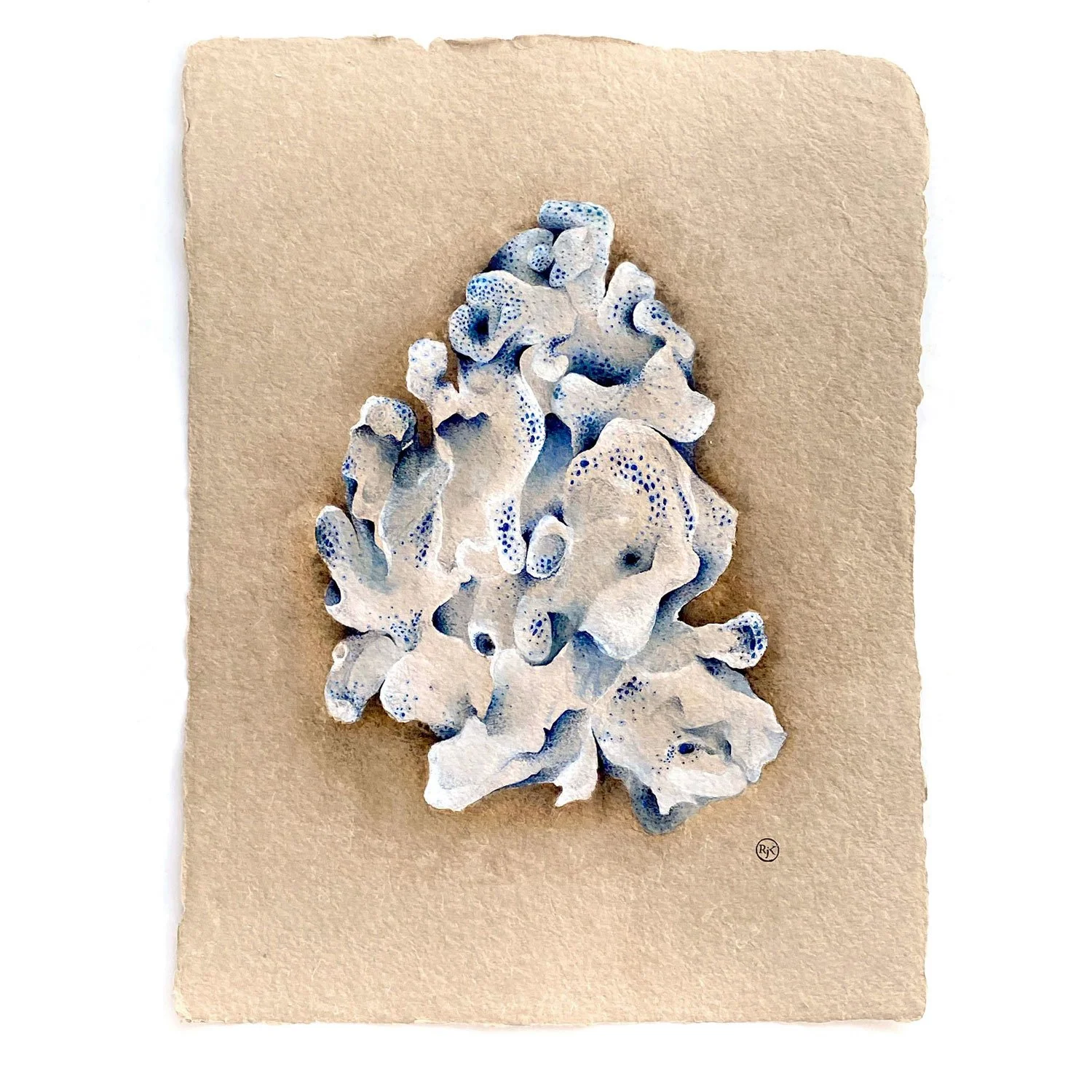 Blue-Coral-2-main.jpg