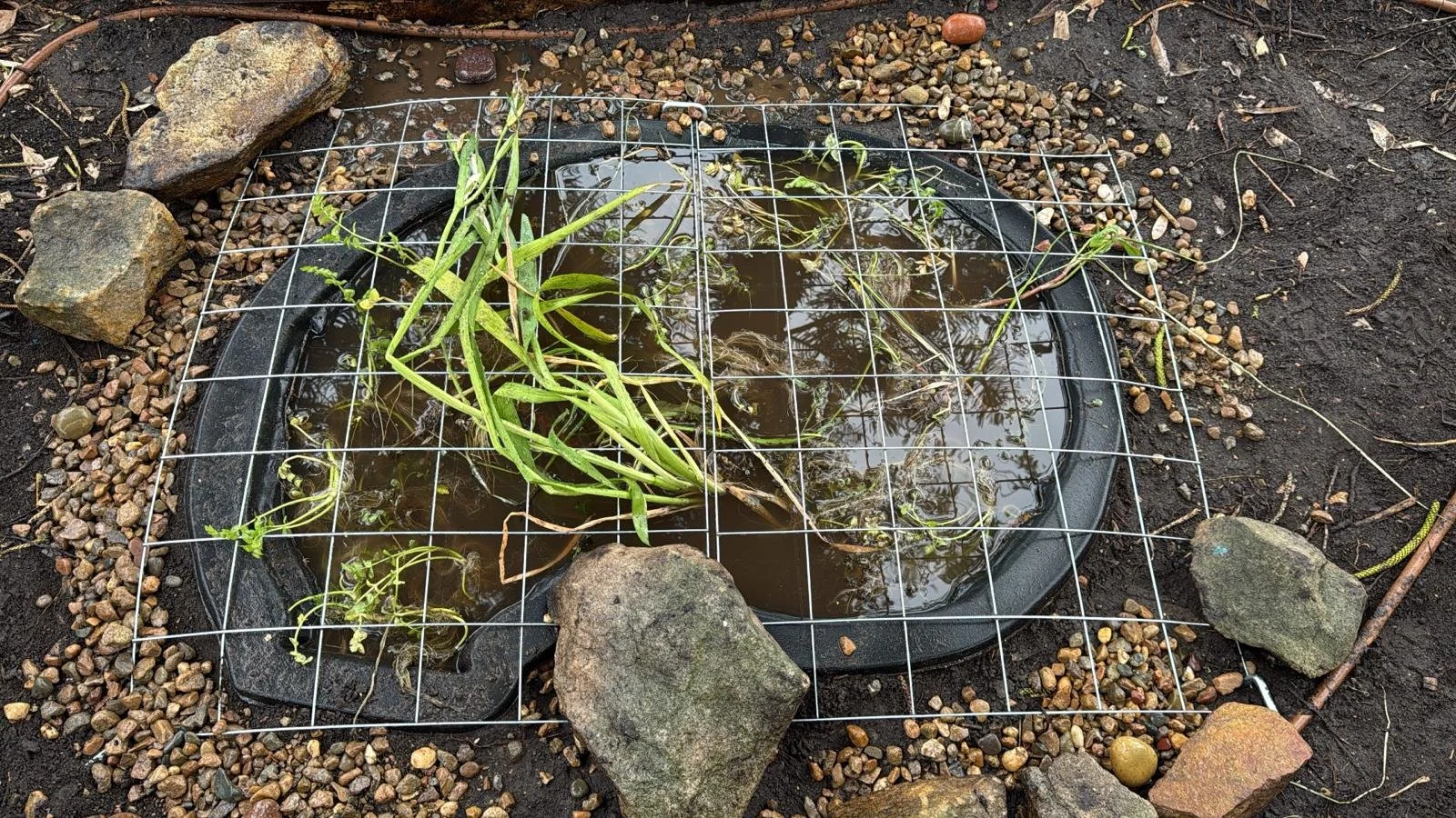 WhatsApp Image 2025-10-23 at 17.08.56.jpeg