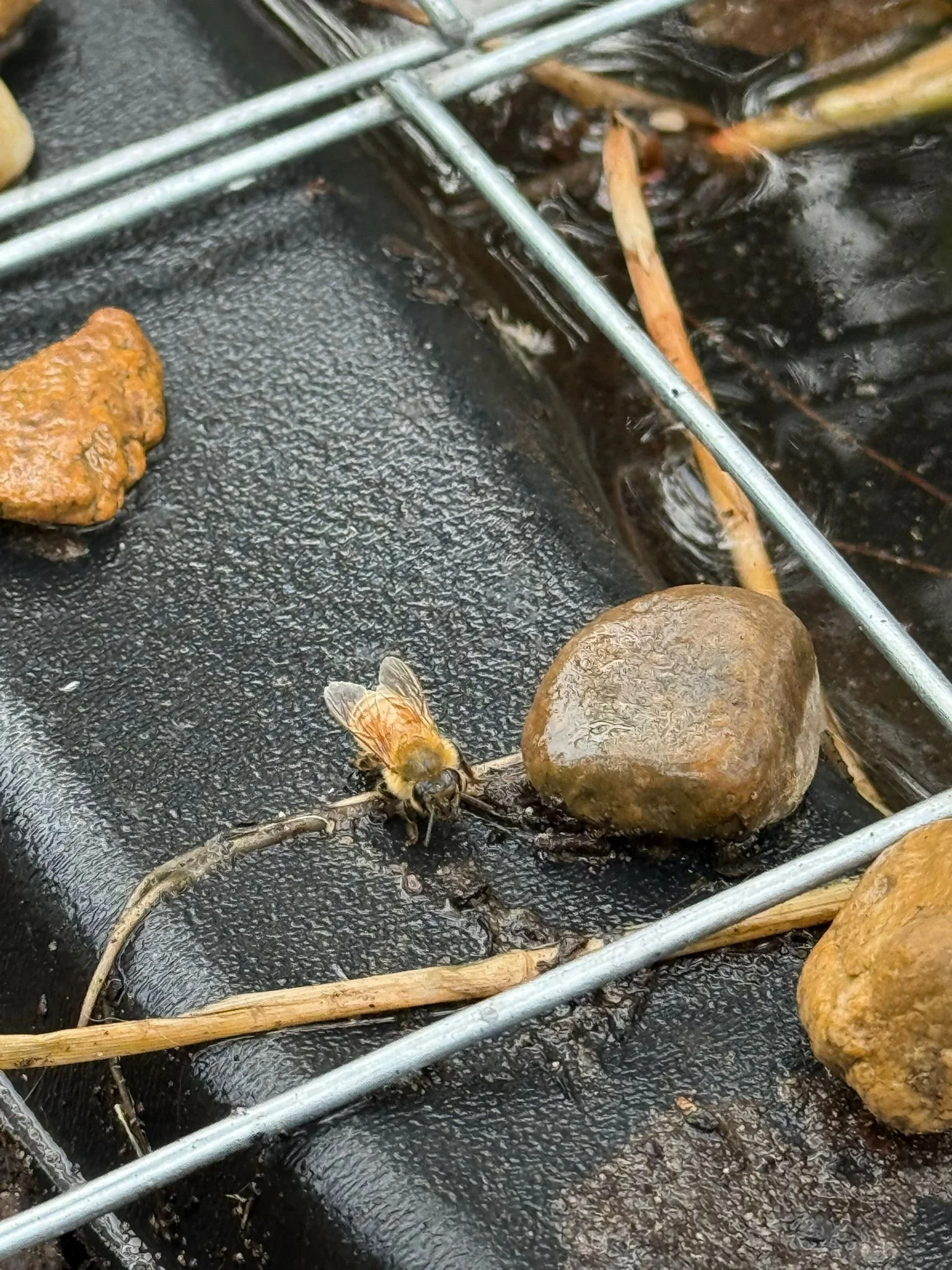 WhatsApp Image 2025-10-27 at 17.55.51.jpeg