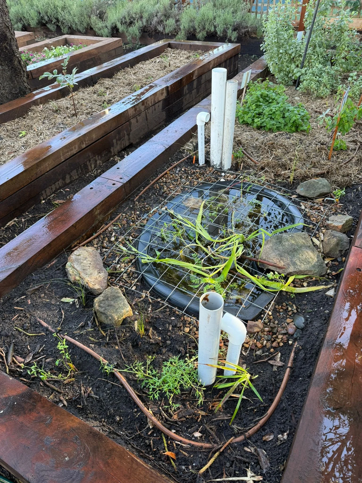 WhatsApp Image 2025-10-31 at 13.33.14.jpeg