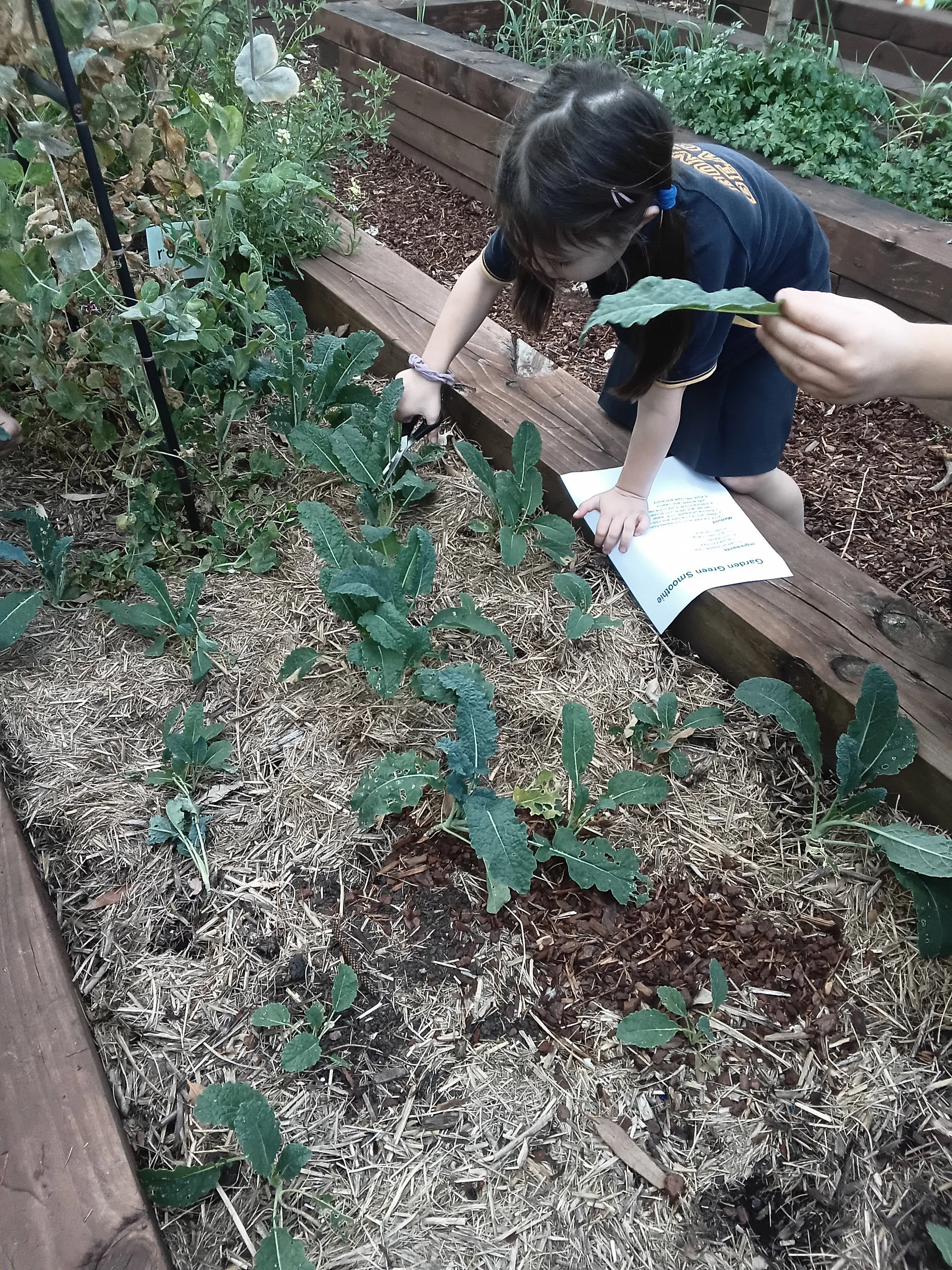 20260907_160530.jpg