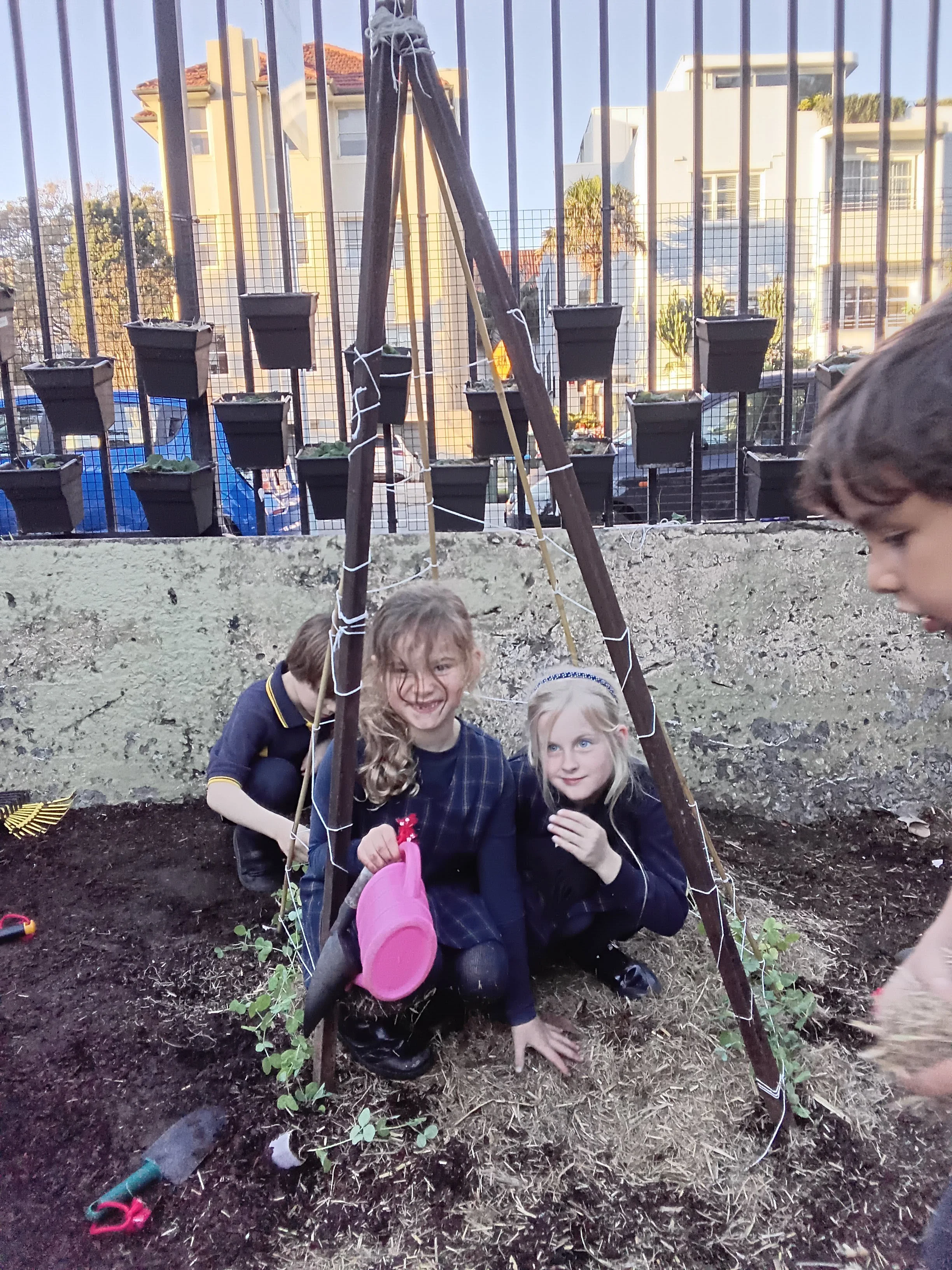 20260831_165516.jpg