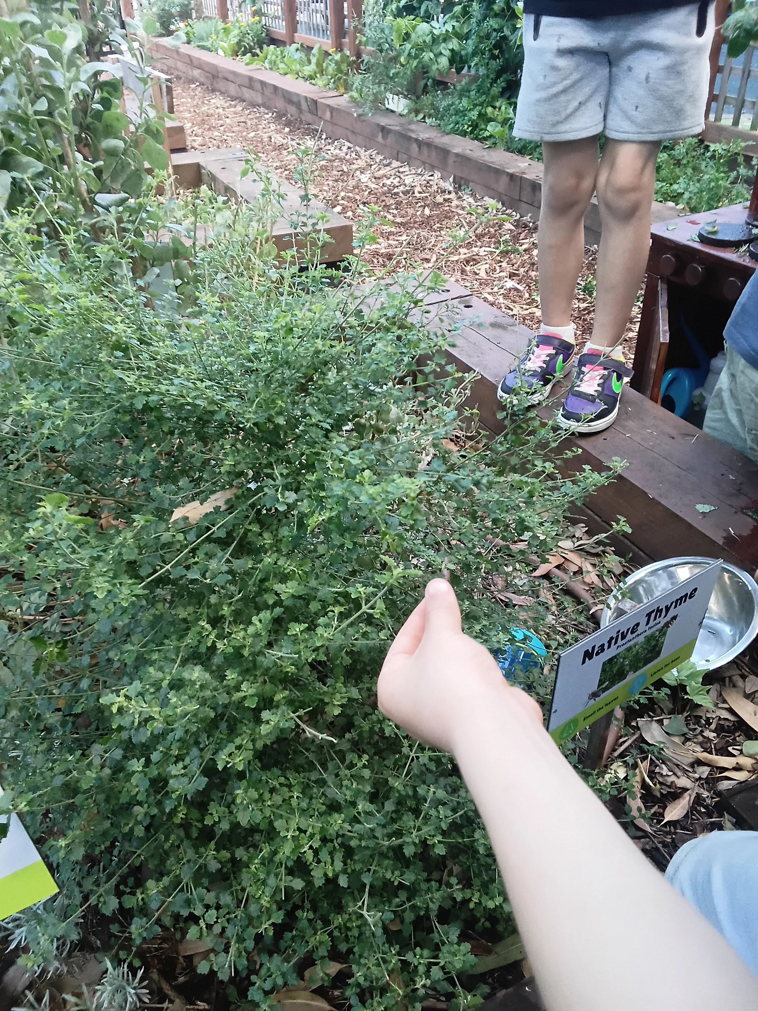 20261006_133453.jpg