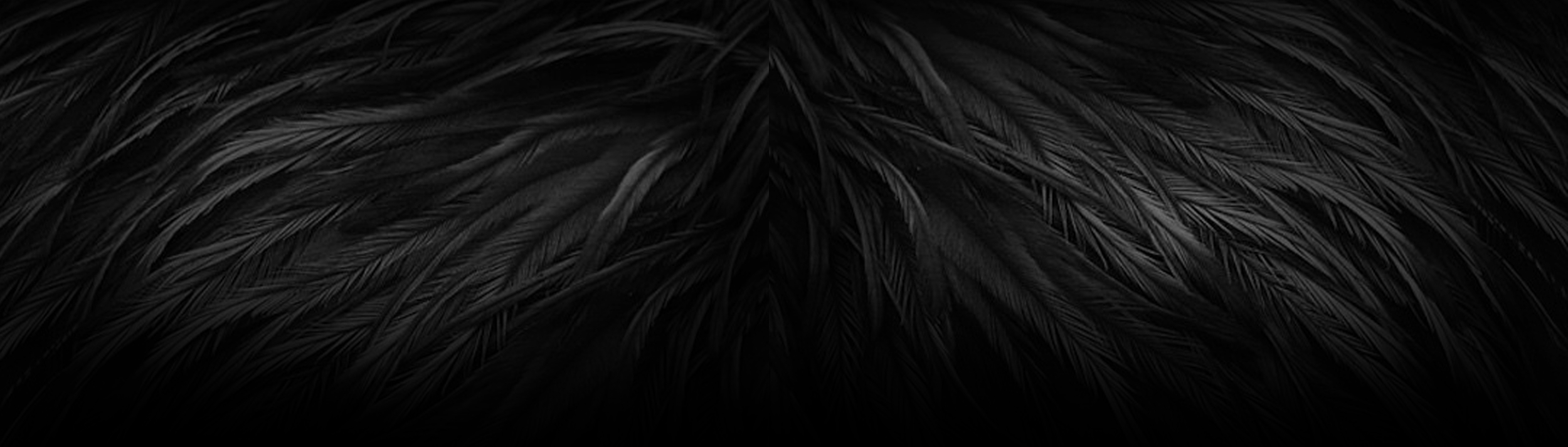 KIX Website Page Header V2 flat.png