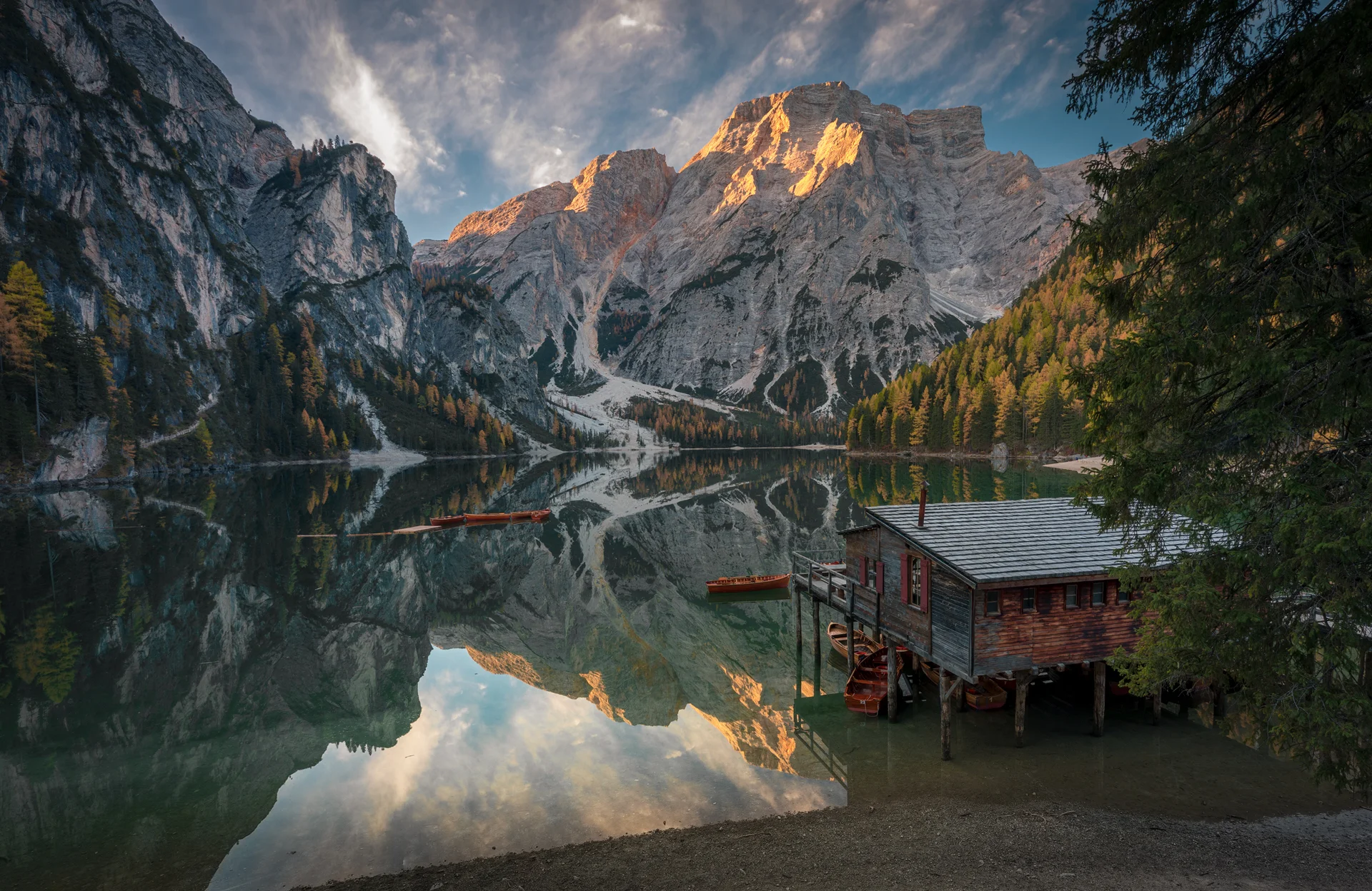 Lagodibraies.jpg