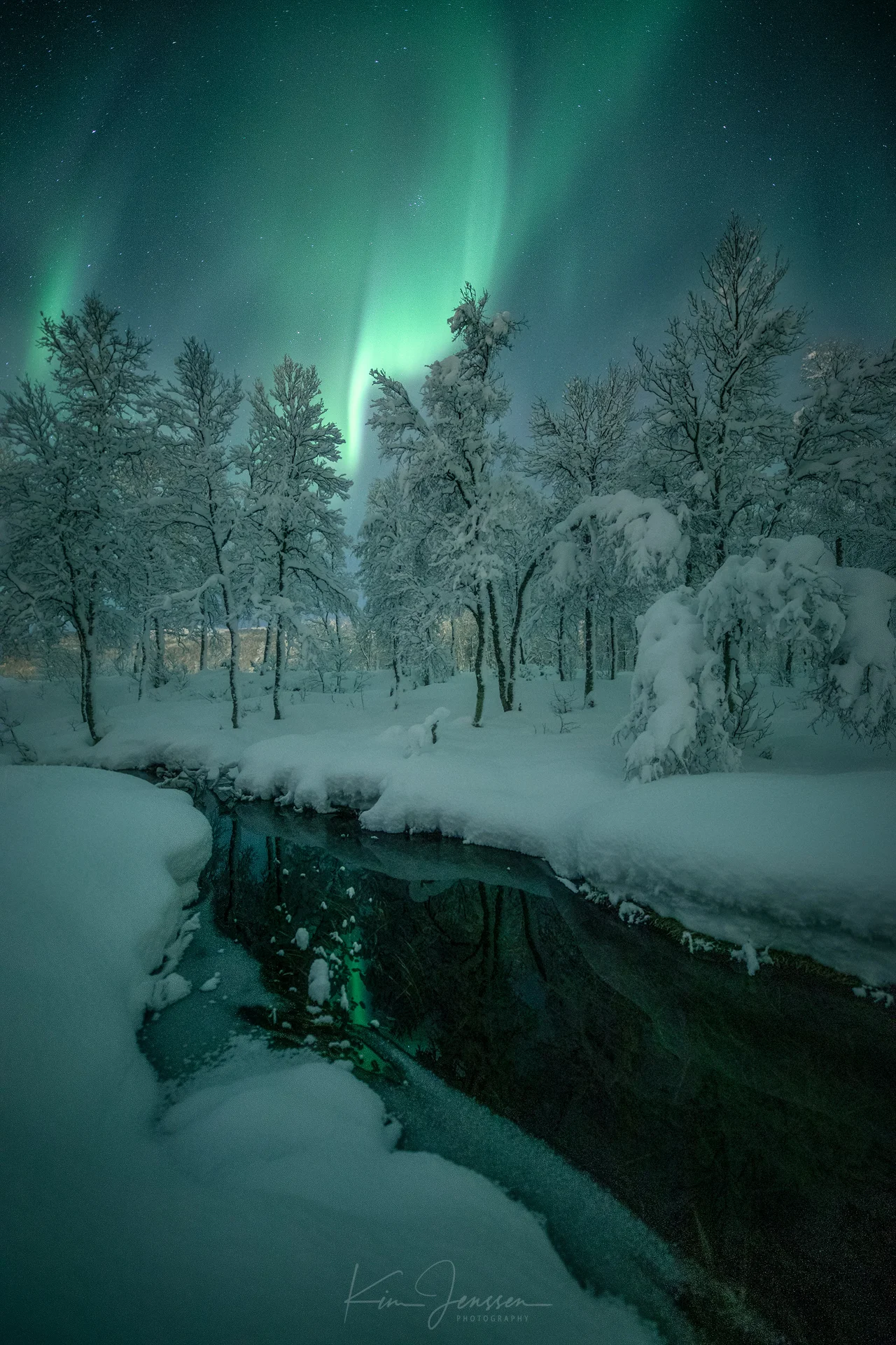 Aurora_solli_19.jpg