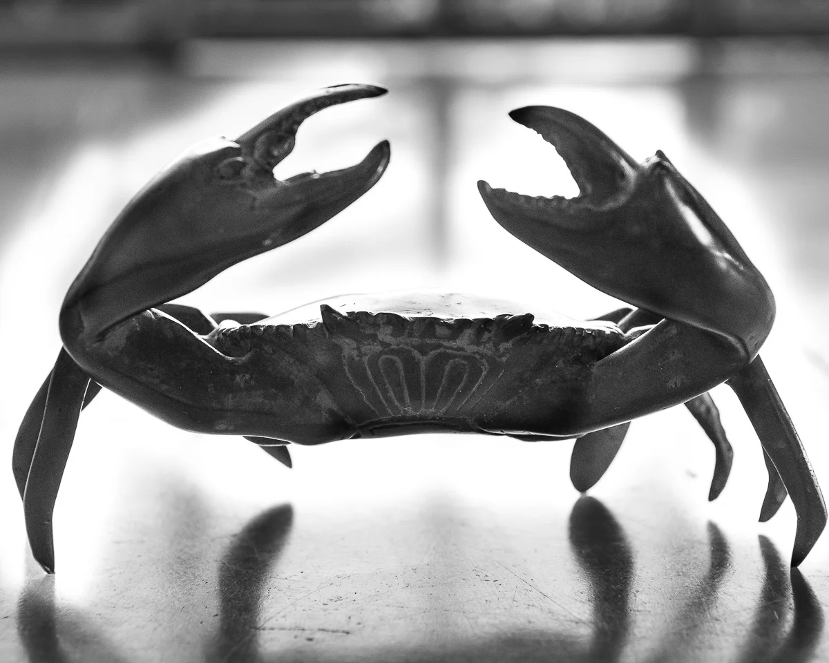  Bali Crab ~&nbsp;Finca Buenvino, Aracena, Spain&nbsp; 