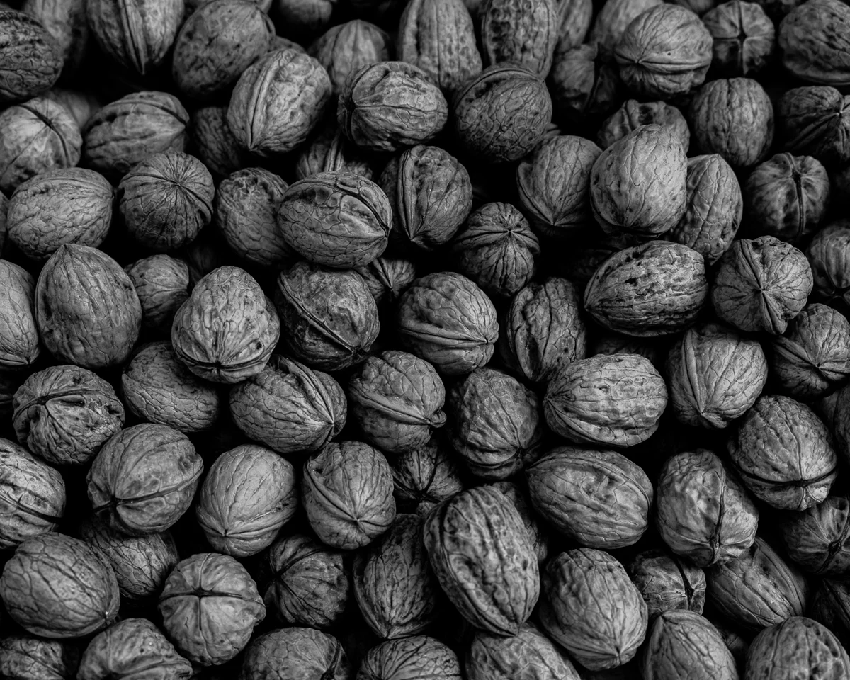  Walnuts ~&nbsp;Andalucía Spain&nbsp; 