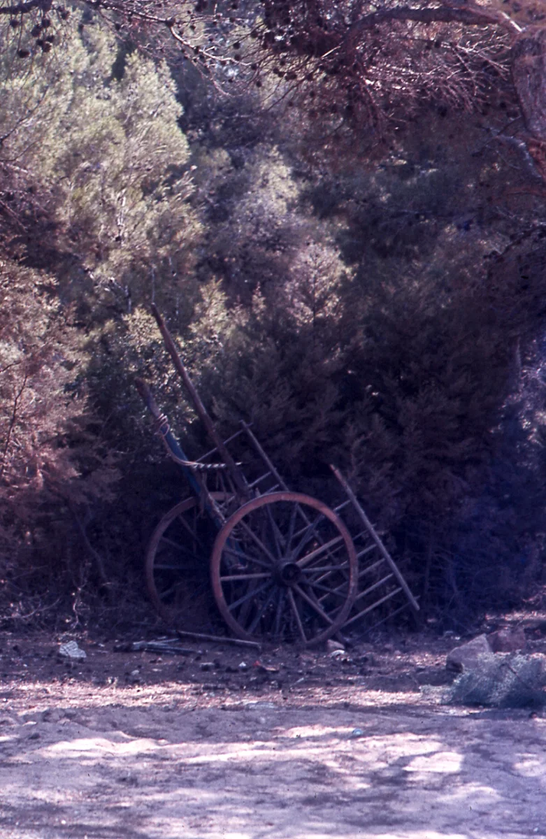  Ibiza 1978 - Pelichrome 