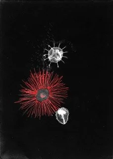 028_TWENTYEIGHT_red.jpeg
