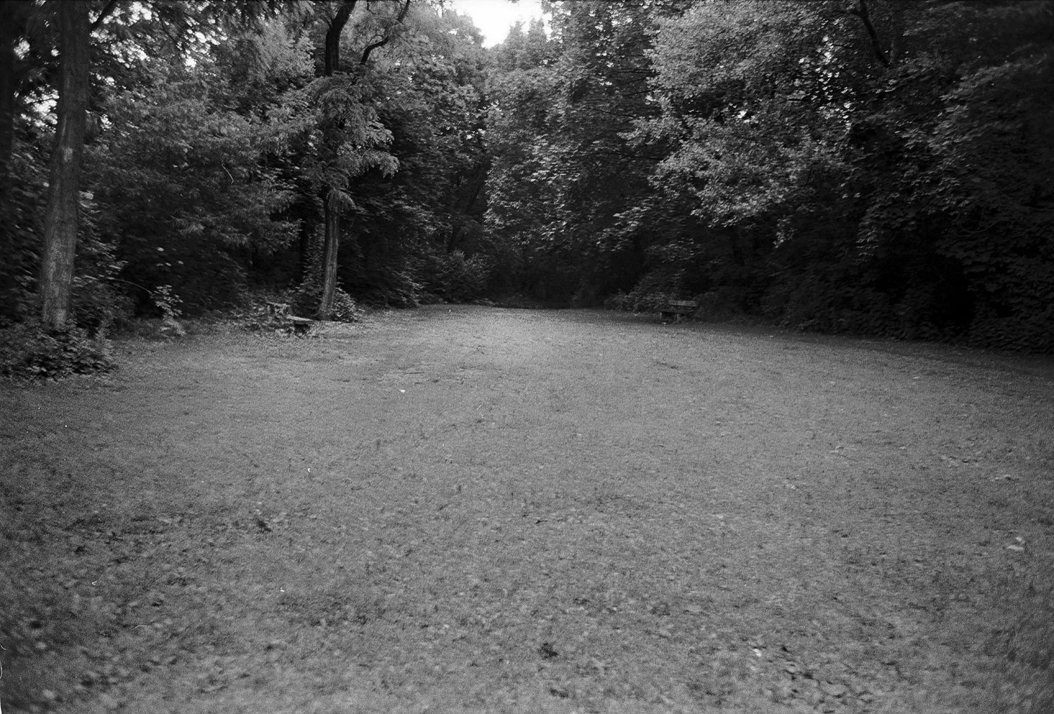 First Park in my Life (Triptychon)