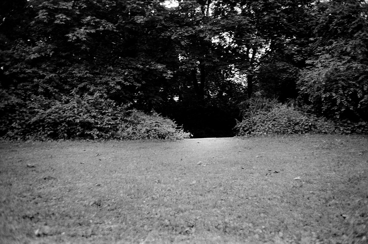 First Park in my Life (Triptychon)
