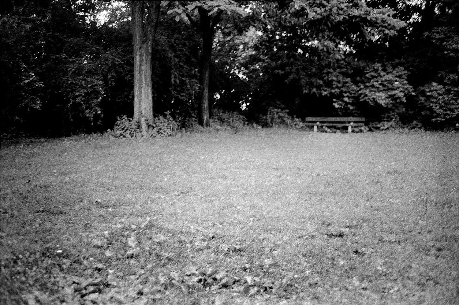 First Park in my Life (Triptychon)