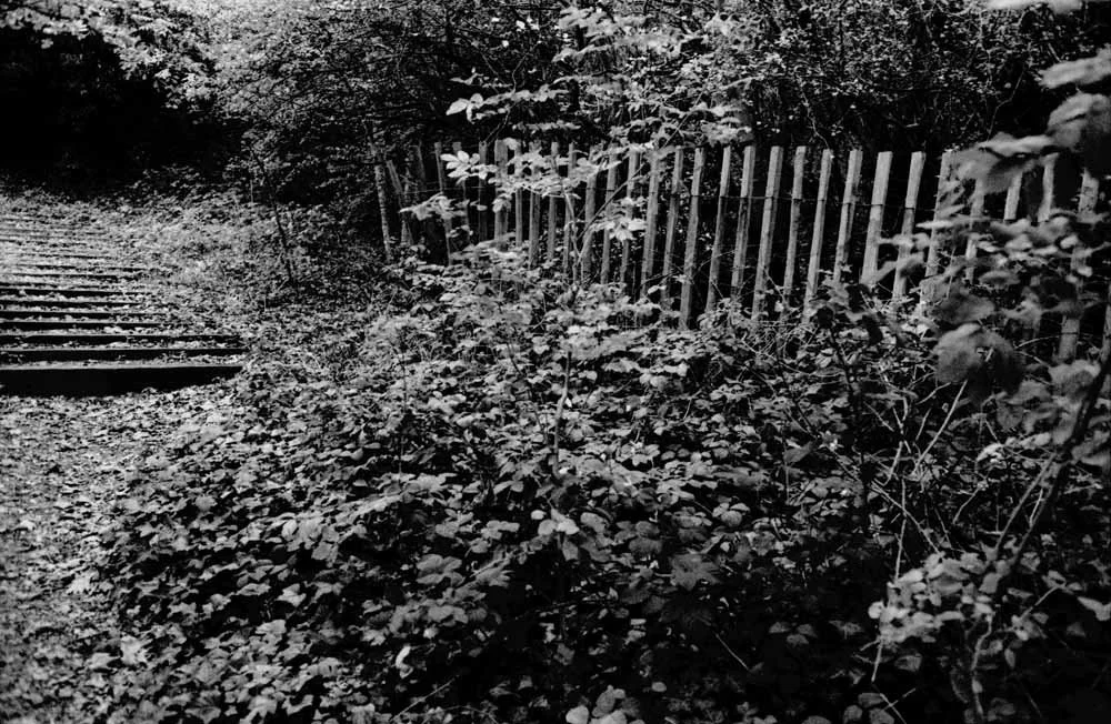 Maryon Park London 1 (Triptychon)
