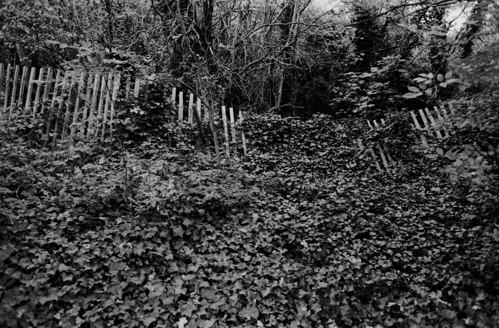 Maryon Park London 1 (Triptychon)