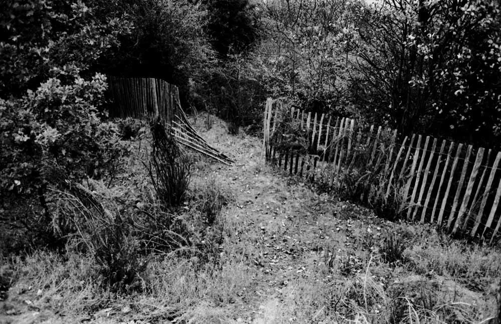 Maryon Park London 1 (Triptychon)