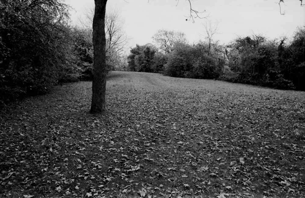 Maryon Park London 2 (Triptychon)