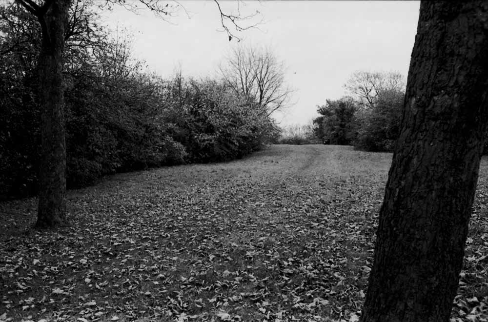 Maryon Park London 2 (Triptychon)