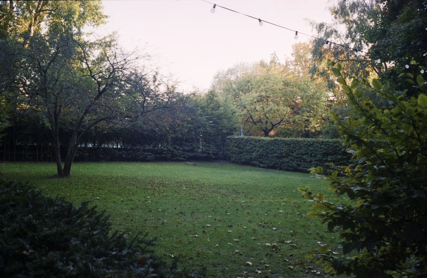 Tiergarten 