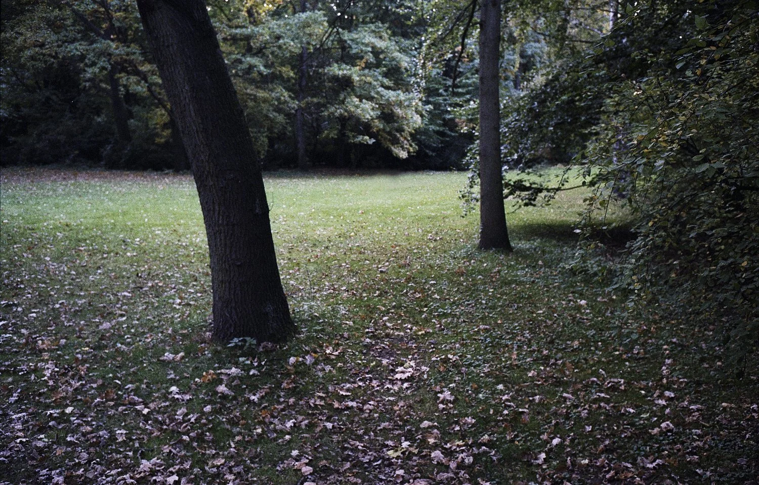 Tiergarten