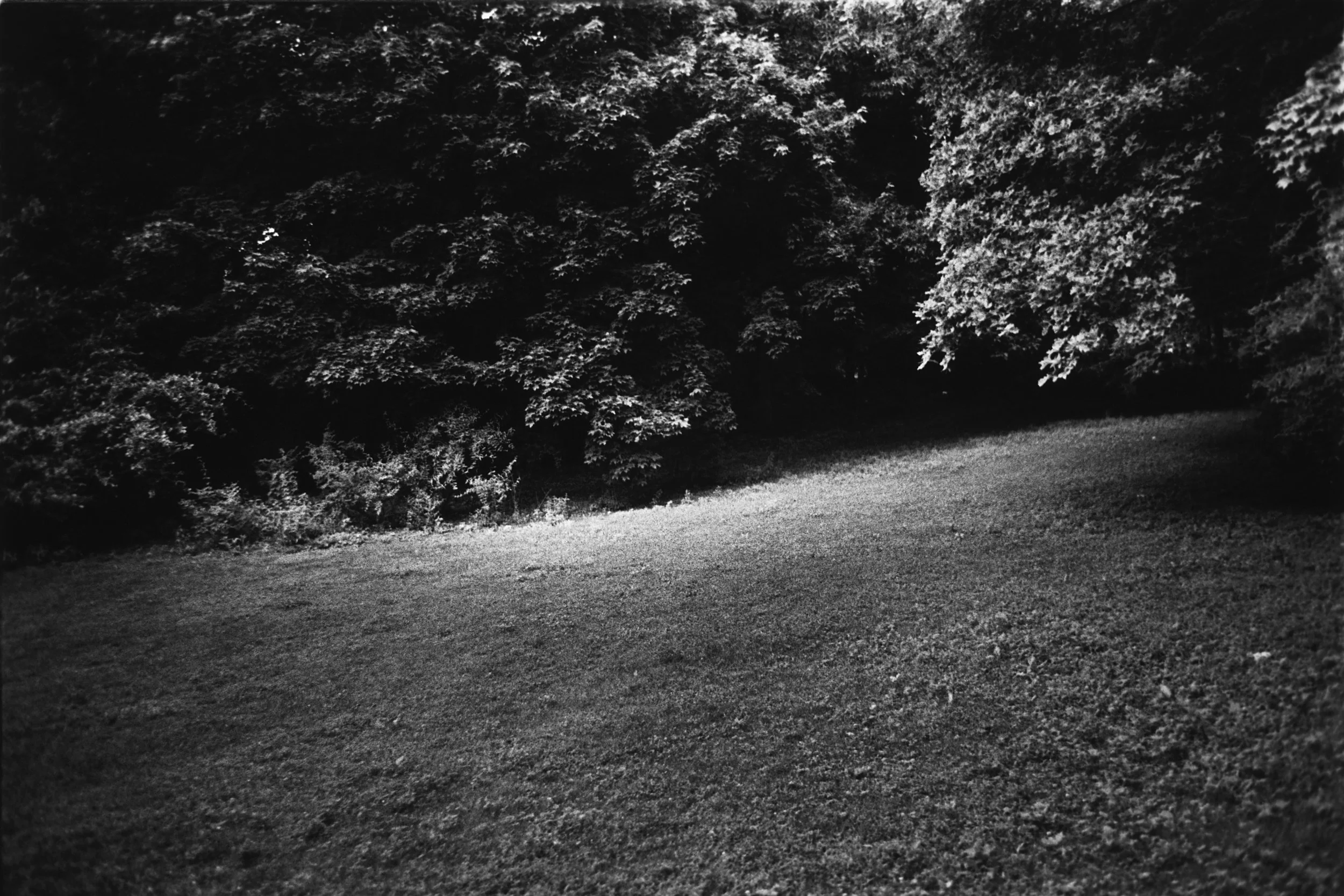 Park Welle (Triptychon)