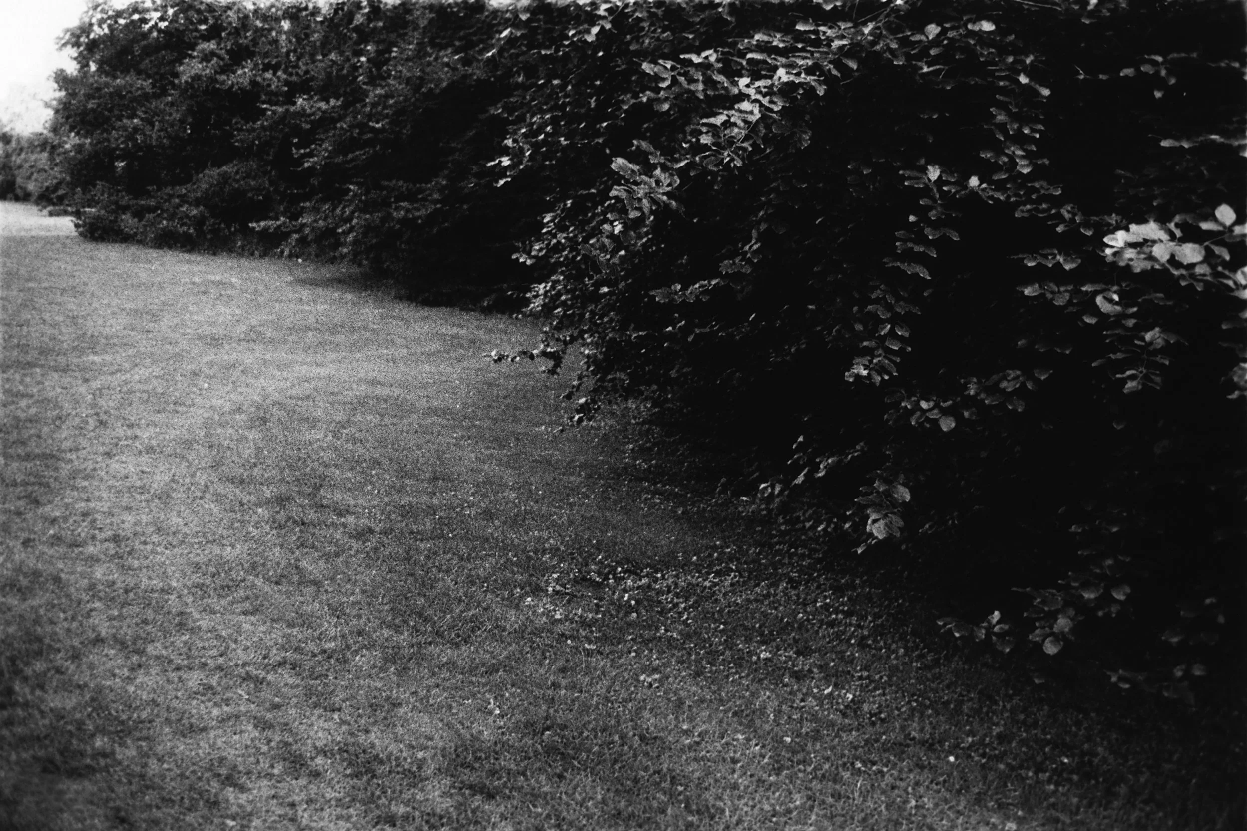 Park Welle (Triptychon}